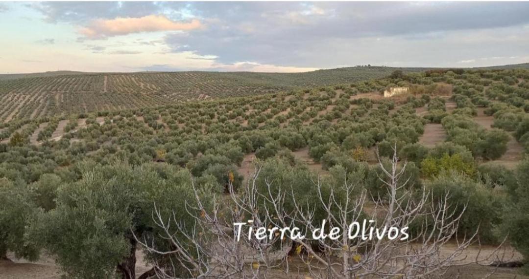 Alojamiento Vival Pineda بايثا المظهر الخارجي الصورة